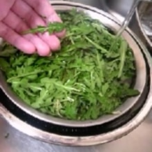 春の0円食材 たんぽぽの若葉のおひたし レシピ 作り方 By 台所職人 楽天レシピ 春の0円食材 たんぽぽの若葉のおひたし レシピ 作り方 By 台所職人 楽天レシピ